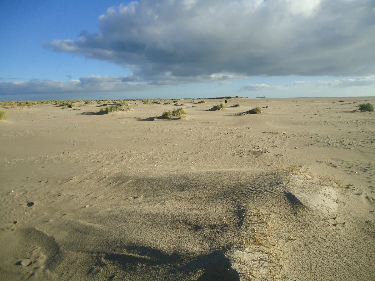 Welkom bij de Seniorenvereniging Texel